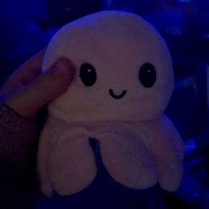 Octopus sad face and happy face toy